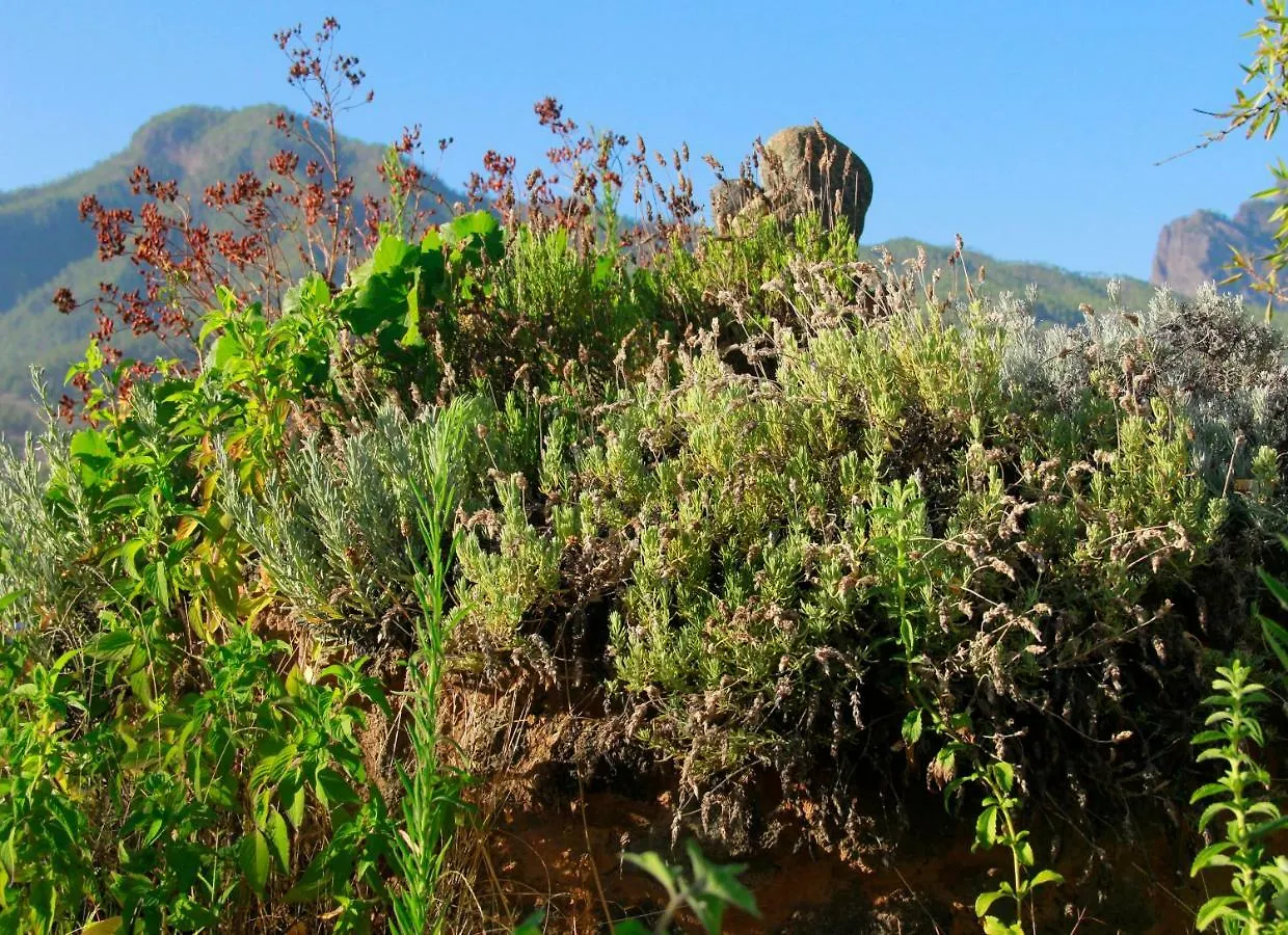 Finca Cosmos El Paso
